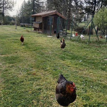 La Sapiniere 24- Mobile - Nature - 3 People * Augignac