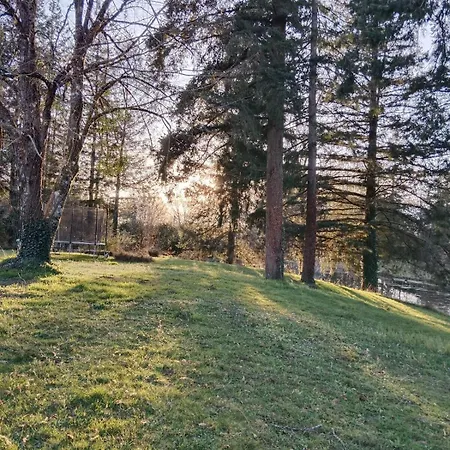 La Sapiniere 24- Mobile - Nature - 3 People Chalet Augignac